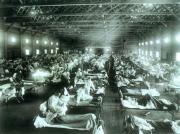 Las epidemias y la Medicina China Tradicional